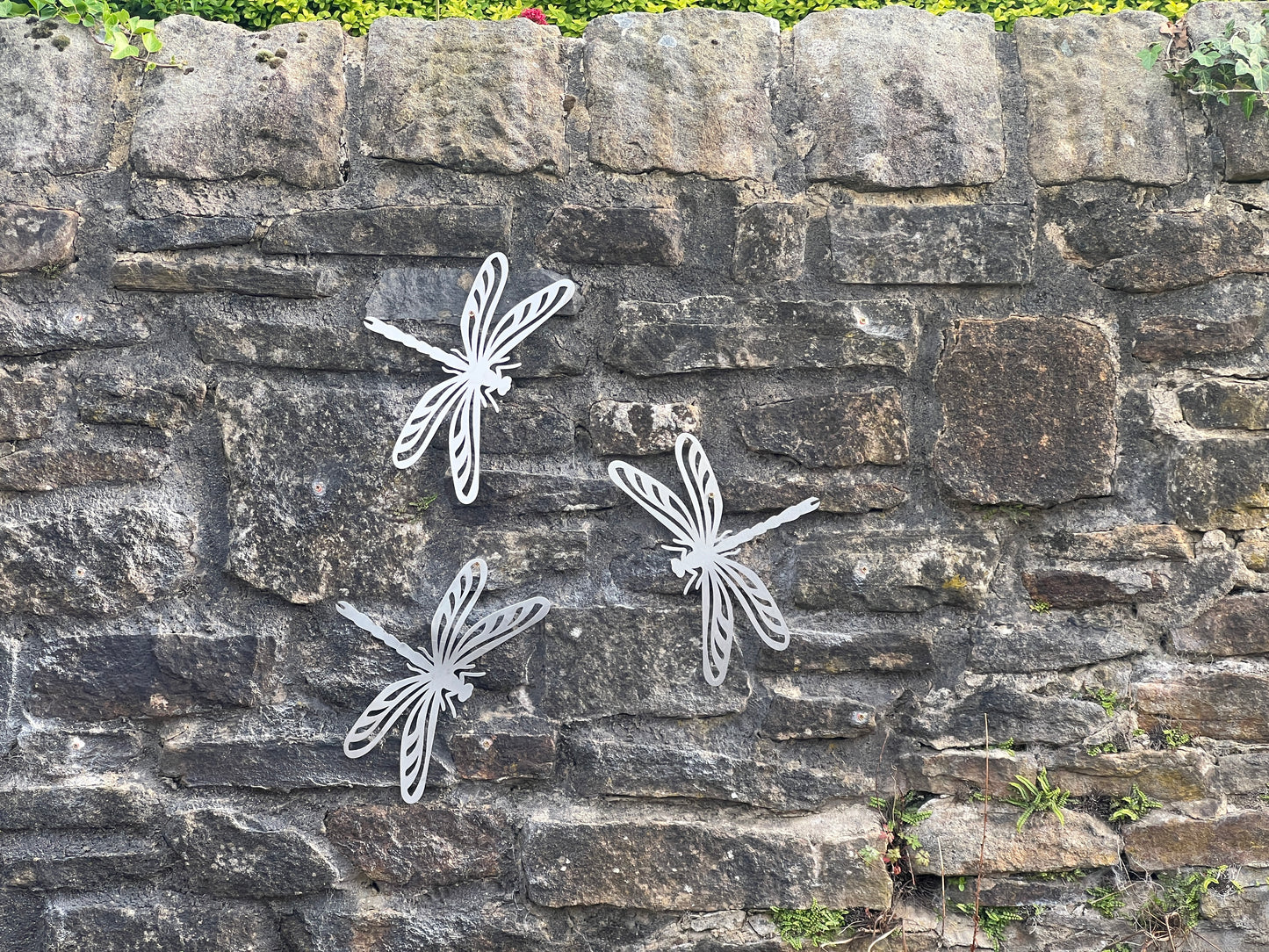Dragonfly metal garden wall art