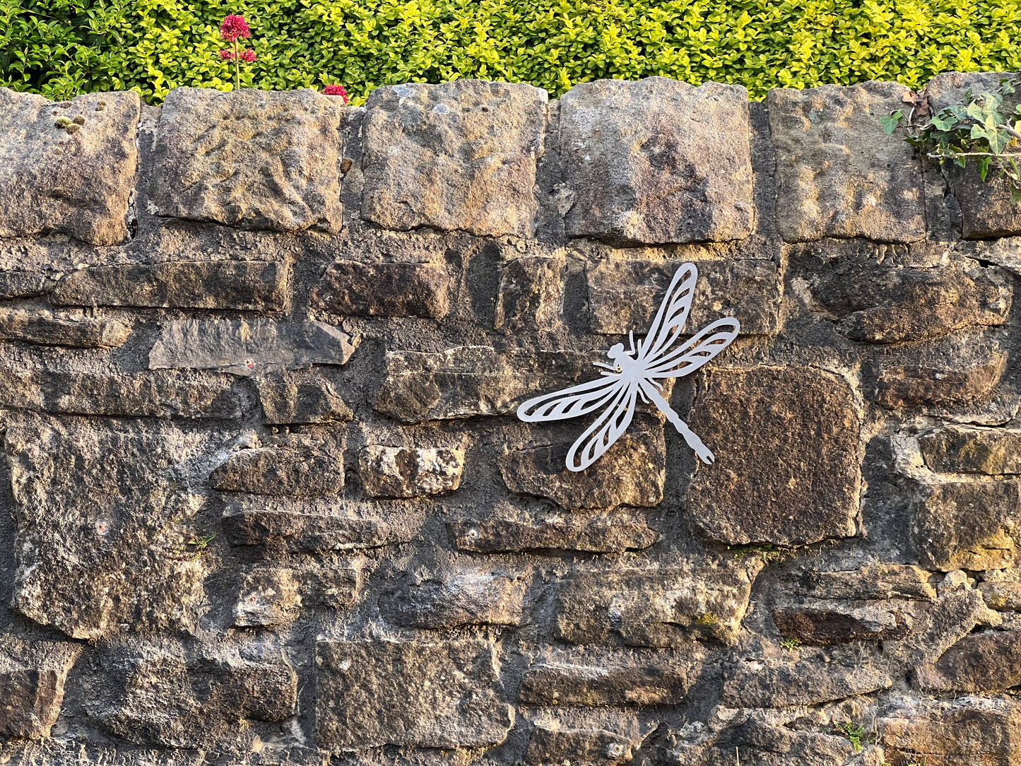 Dragonfly metal garden wall art