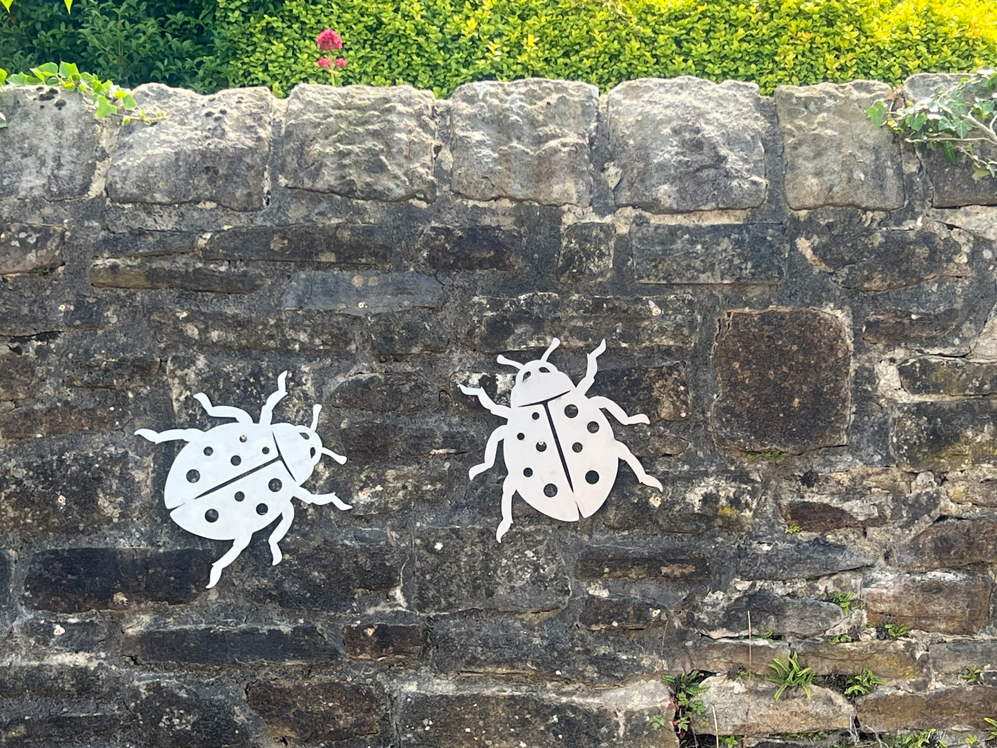 Ladybird metal garden wall art